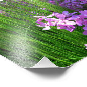 Impression Photo Pink Phlox et Grass été Floral (Coin)