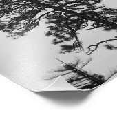 Impression Photo Pins de l'Oregon Centre noir et blanc (Coin)