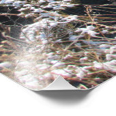Impression Photo "Pins gelés" (Coin)