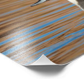 Impression Photo Pintail Nord Homme (Coin)