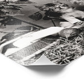 Impression Photo Pique-nique Kitten (Coin)