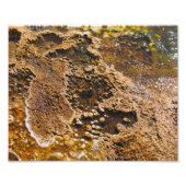 Impression Photo Piscine d'Algea (Devant)