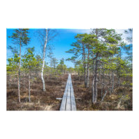 Piste en bois au-dessus du marais