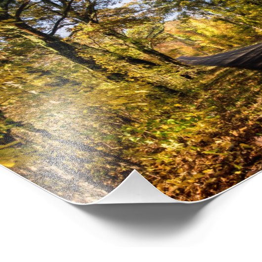 Impression Photo pittoresque (Coin)