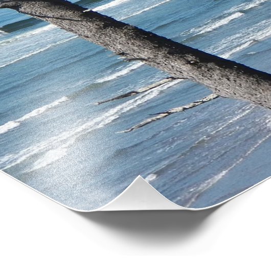 Impression Photo Pittoresque littoral (Coin)