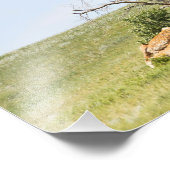 Impression Photo Pittoresque Saskatchewan rurale (Coin)