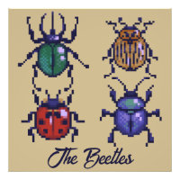 Pixellisation des Beetles
