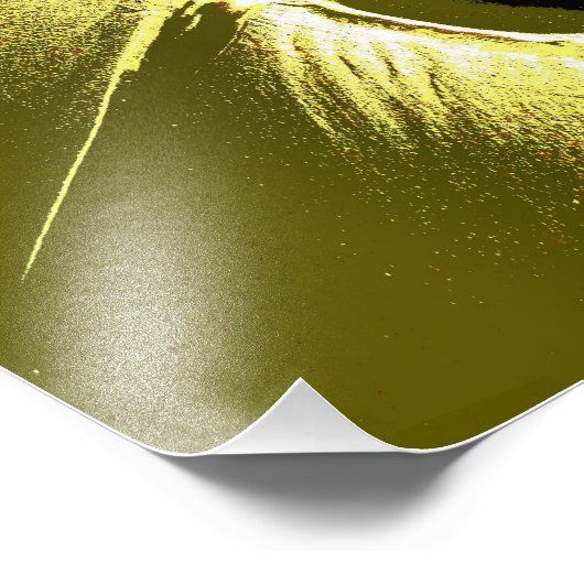 IMPRESSION PHOTO PLAGE (Coin)