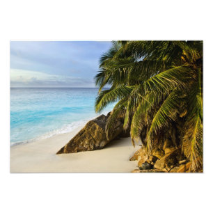 Impression Photo Plage d'Ansi Victorin
