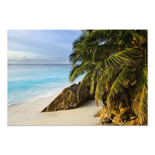 Impression Photo Plage d'Ansi Victorin (Devant)