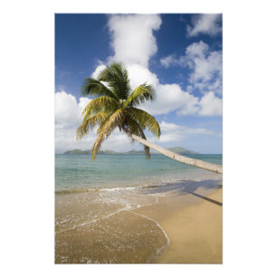 Impression Photo Plage de Coconut Grove à Cades Bay, avec St.