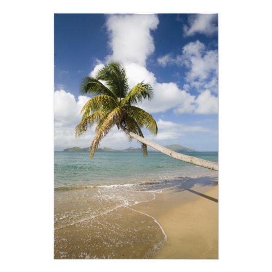 Impression Photo Plage de Coconut Grove à Cades Bay, avec St. (Devant)