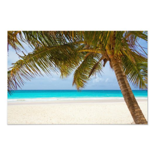 Impression Photo Plage du Paradis tropical (Devant)
