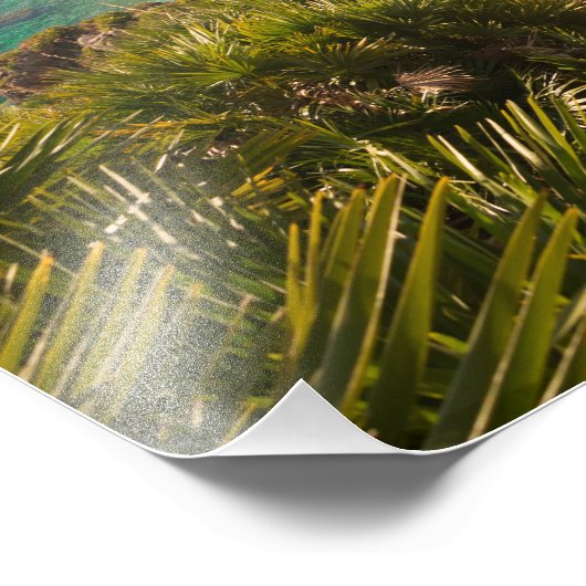 Impression Photo Plage isolée à Lo Zingaro, Sicile (Coin)