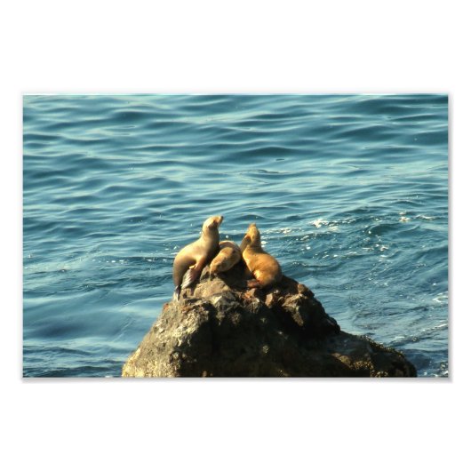 Impression Photo Plage Point Dume State Beach (Devant)
