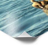 Impression Photo Plage Point Dume State Beach (Coin)