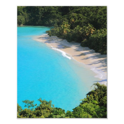 Impression Photo Plage tropicale de l'île des Caraïbes (Devant)