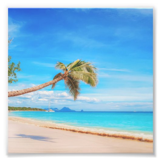 Impression Photo Plage tropicale des Caraïbes (Devant)