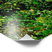 Impression Photo Plages, Barahona, République Dominicaine, 2 (Coin)