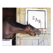 Impression Photo Plan directeur (Devant)