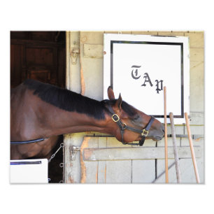 Impression Photo Plan directeur