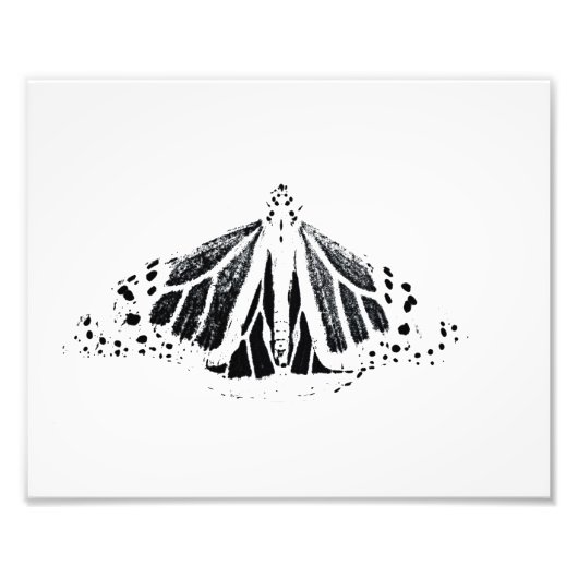 Impression Photo Plan Monarque (Devant)