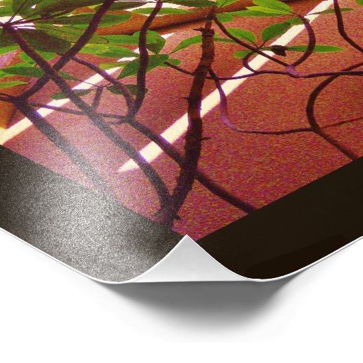 Impression Photo Plante permanent (Coin)