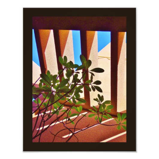 Impression Photo Plante permanent (Devant)