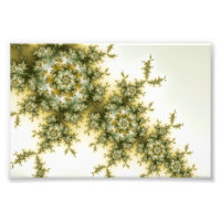 Plante sauvage - Mandelbrot Fractal Art