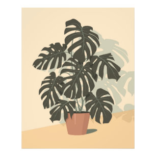Impression Photo Plante tropical. Monstera