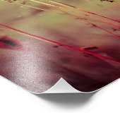 Impression Photo plantes vintages (Coin)