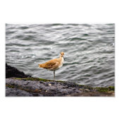 Impression Photo Playa Del Rey (Devant)