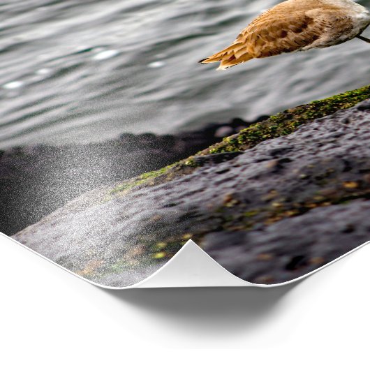 Impression Photo Playa Del Rey (Coin)