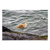 Impression Photo Playa Del Rey (Devant)