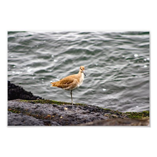 Impression Photo Playa Del Rey (Devant)