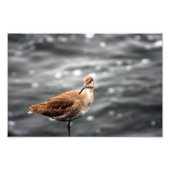 Impression Photo Playa Del Rey (Devant)