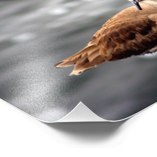 Impression Photo Playa Del Rey (Coin)