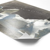 Impression Photo Plaza Mermaid (Coin)