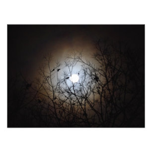 Impression Photo Pleine lune