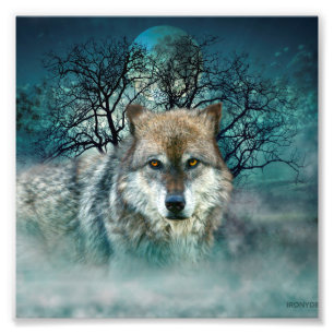 Impression Photo Pleine lune du loup dans le brouillard