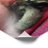 Impression Photo Plieur à sucre pour bébé imprimé (Coin)