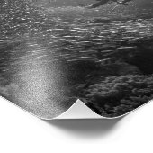 Impression Photo Plongeur attrapé dans le vortex de baitball (Coin)