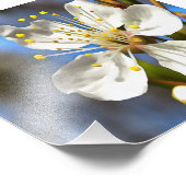 Impression Photo Plum Blossom Art Botanique (Coin)