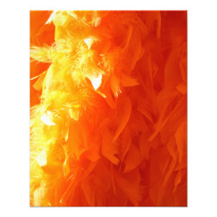 Impression Photo Plume