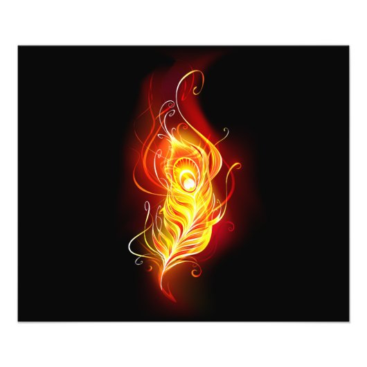 Impression Photo Plume de paon de feu (Devant)