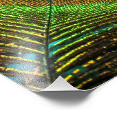 Impression Photo Plume vive (Coin)