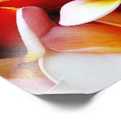 Impression Photo Plumeria Frangipani Hawaii Fleur Customisée (Coin)