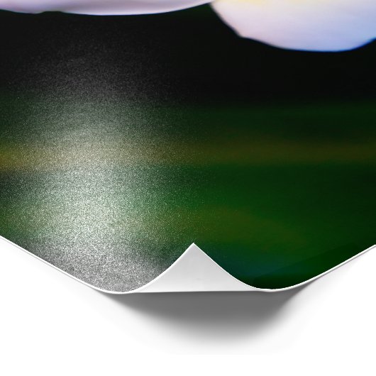 Impression Photo plumérie (Coin)