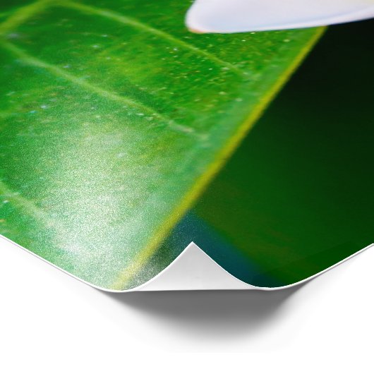 Impression Photo plumérie (Coin)