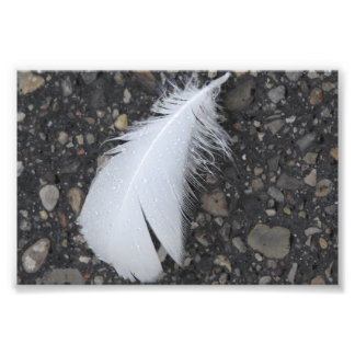 Impression Photo Plumes blanches